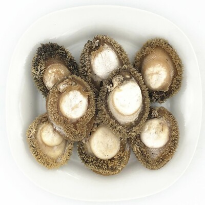 Greenlike Dried South-Africa Abalone 南非鲍鱼