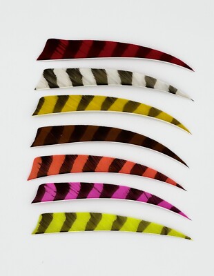 Trueflight Shield Cut Feathers - Left/Right Wing - 5 Inch - Barred Colors