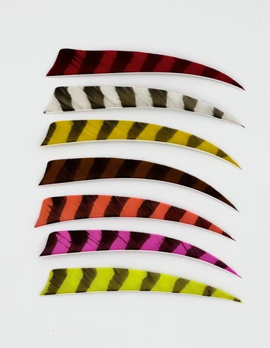 Trueflight Shield Cut Feathers - Left/Right Wing - 5 Inch - Barred Colors