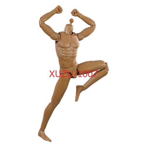 1:6 Scale Muscular Male Action Body Model 12" Action Figure Body For Hot Toys - Picture 8 of 27