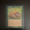 Wizards Food Chain Mercadian Masques Rare Green Enchantment Regular Eng 246