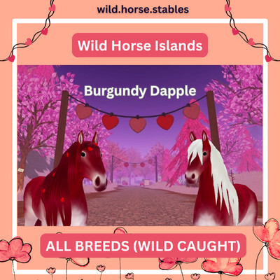 Wild Horse Islands - Burgundy Dapple Horses Wild Caught (All Breeds)