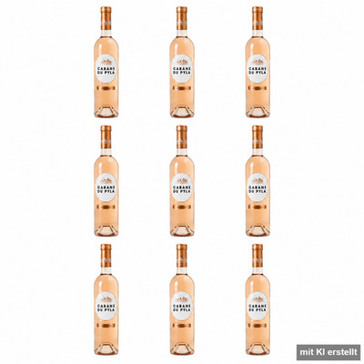 Cabane du Pyla Rose Cheval Quancard Frankreich trocken fruchtig Rosewein