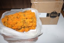 Bella Moss 1404011083 Preserved Reindeer Moss autumn 3 pounds