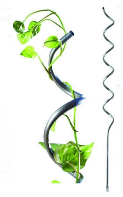 Pali per piante da giardino Bastoni per la crescita delle piante, 30 pezzi, pali di supporto per piante verdi, canne da giardino, pali per pomodoro con connettore da 15 pezzi per verdure