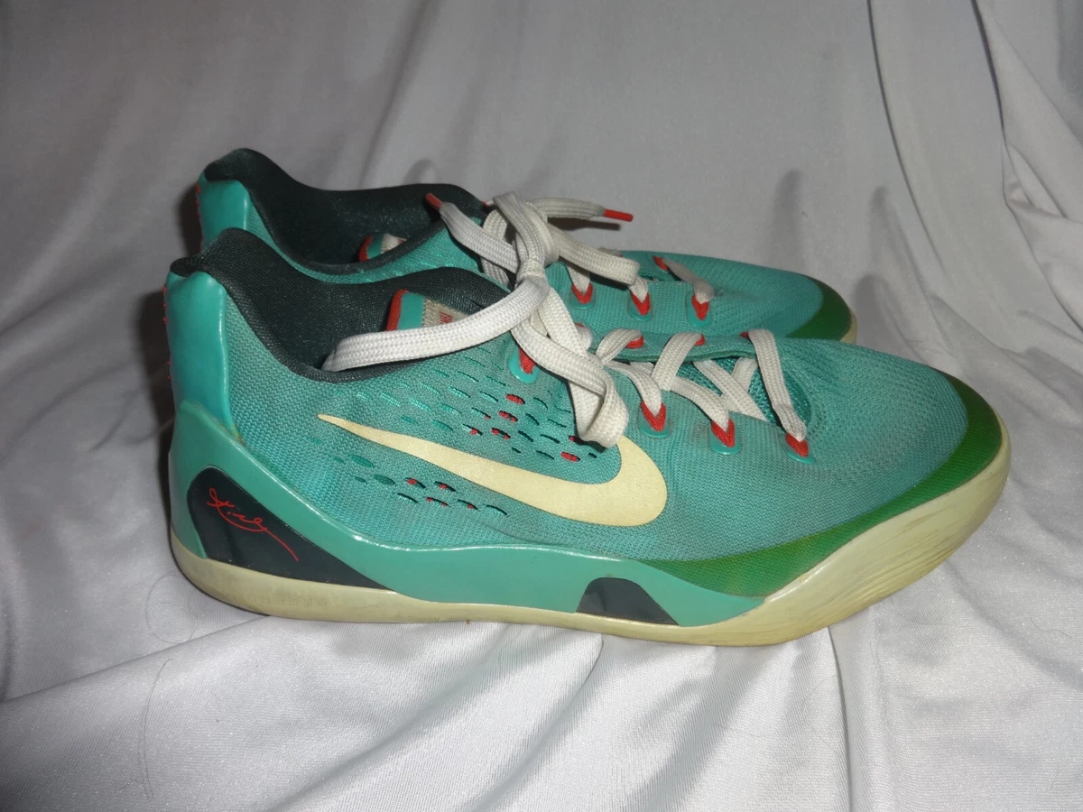 Kobe dusty shop cactus