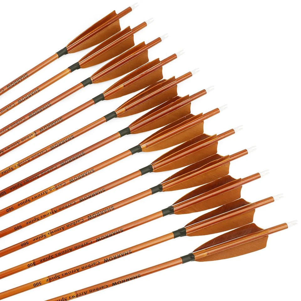 31" Carbon Arrows 4" Turkey Feather SP500 Archery Recurve Compound Bow Hunting - Image 4 of 4