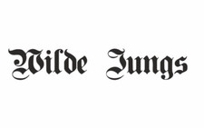 Wild Boys Car Stickers 40 x