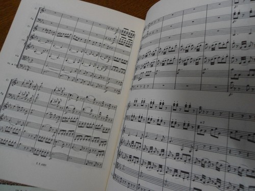 Concierto para corno No.789 MOZART en mi mayor KV.447 - Edición partitura para orquesta EULENBURG - Imagen 10 de 14