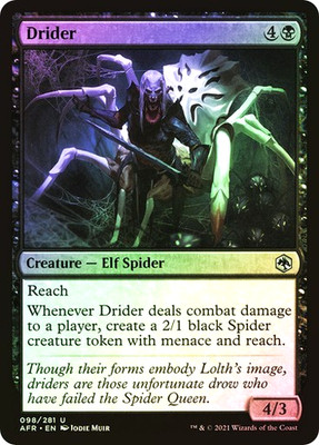 MTG - Drider - Foil - AFR - Magic the Gathering