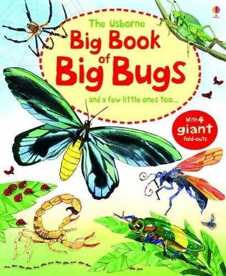 Big Book Of Big Bugs - Hardcover, by usborne-publishing-ltd - Very Good