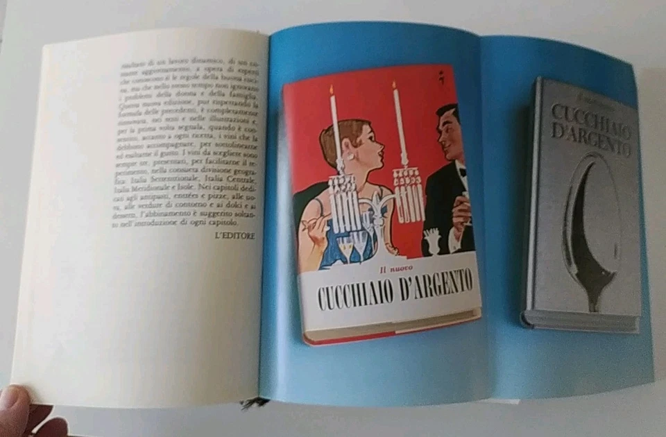 IL CUCCHIAIO D'ARGENTO con custodia in plexiglass - SPEDIZIONE GRATUITA - Immagine 4 di 4