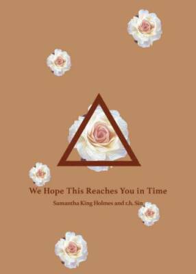 We Hope This Reaches You in Time - Paperback By Sin, r.h. - VERY GOOD