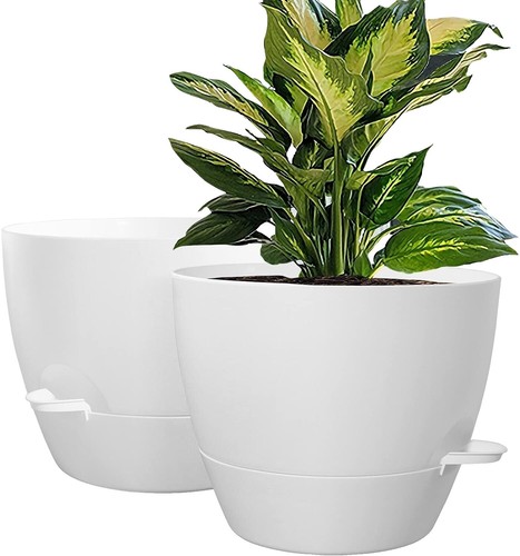 house plant shelf Japandi Corner Plant Stand | Home Decor