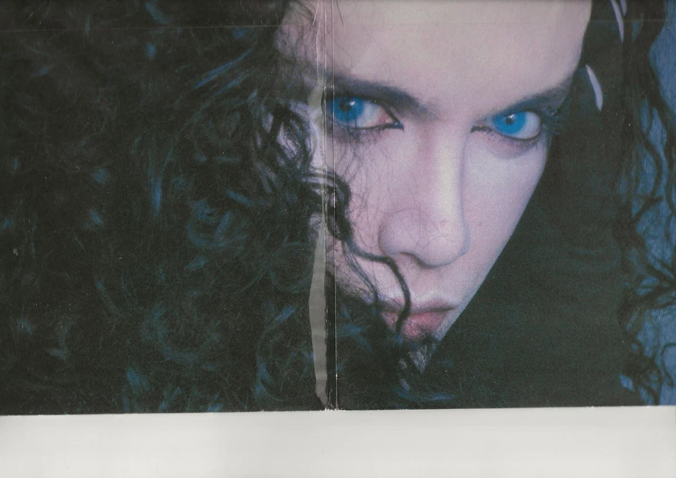 Dead or Alive – Hooked on Love (Remix) - Double-vinyl 45 - Image 2 of 4