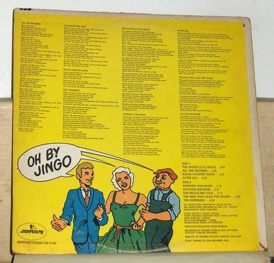 David Bowie – The Man Who Sold The World - Vinyl LP Record Album