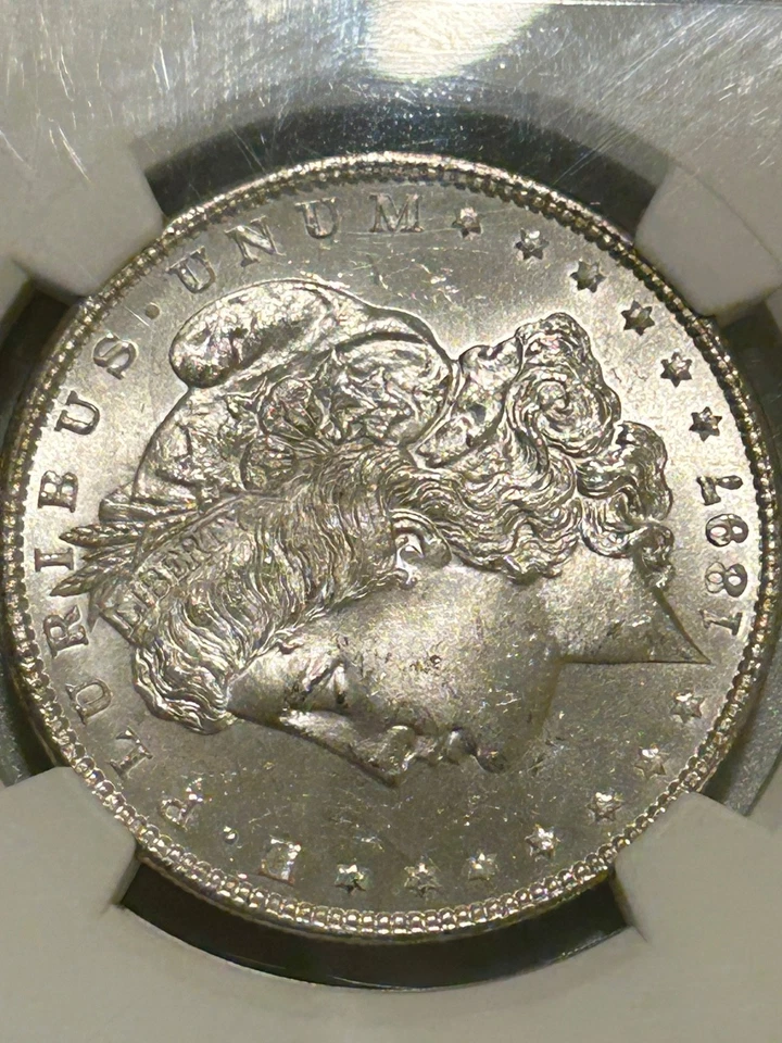 Dólar de plata Morgan 1897 P NGC MS64 CAC verde mejor fecha/tono reverso Foto 3 de 4