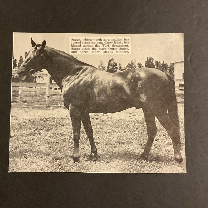 SAGGY photo   Horse  Racing CARRY BACK  CITATION