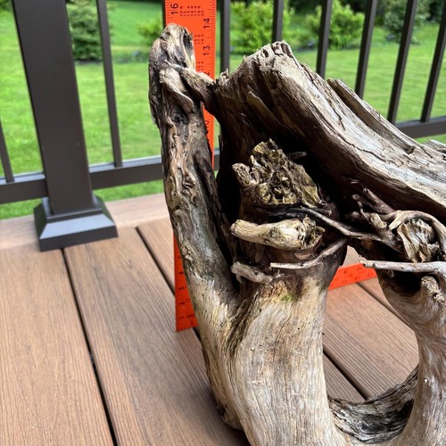 Scultura Driftwood 15,5x7x15 - Cornice ovale con rami per rettili o decorazioni - Foto 7 di 9