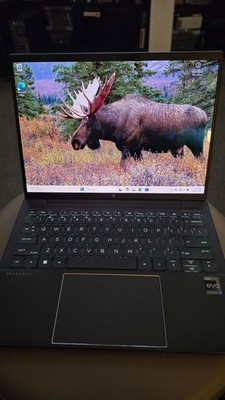 HP Dragonfly 13.5'' G4 Multi-Touch Intel i7-1355U 1.80GHz 10 Core 16GB 512GB SSD