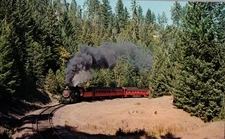 Vintage Super Skunk Steam Train Postcard Redwood Forest California