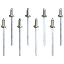 100 PCS 1/8 x 1/4 Stainless Steel Pop Rivets, 3.2x6.4mm, Dome Head, Blind