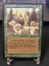 Magic the gathering MTG Legends Master of the hunt Never Played vintage