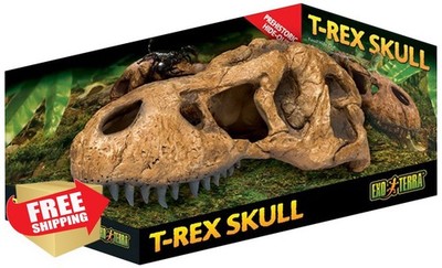 Exo Terra T-Rex Skull Terrarium Decor Reptile Habitat Accessory