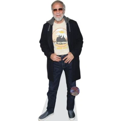 Cat Stevens Pappaufsteller lebensgross - Bild 1 von 4