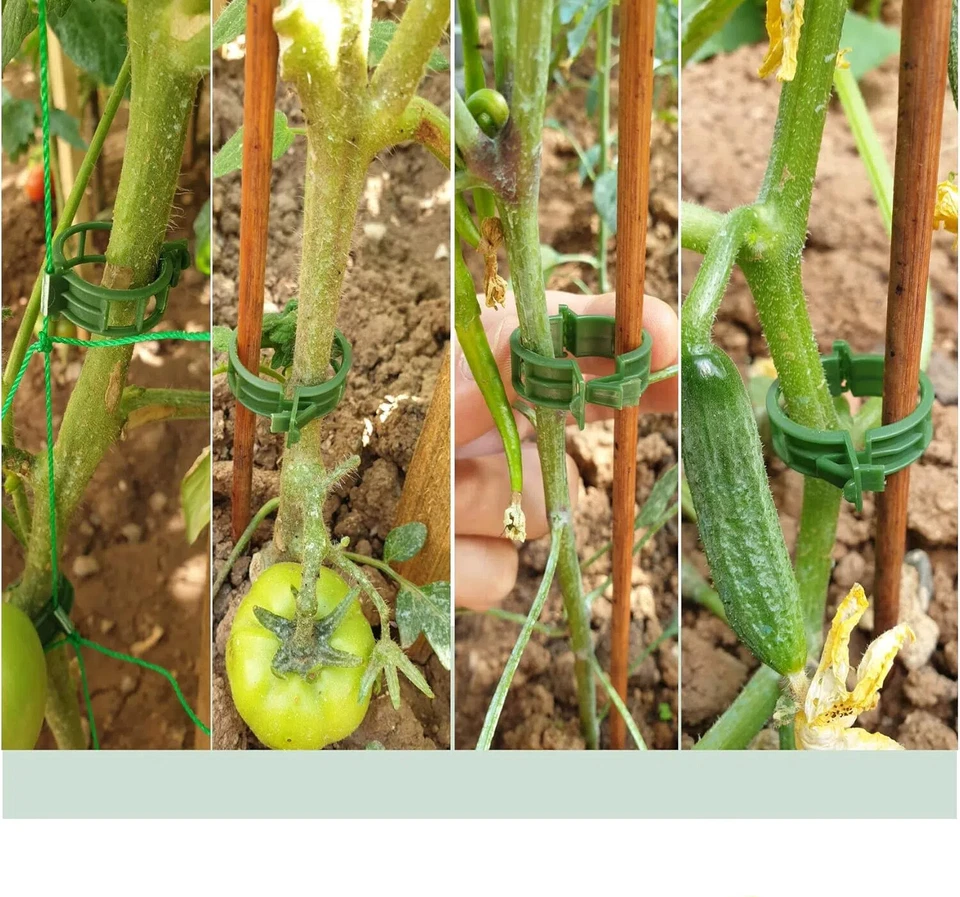 Садовые поддерживающие зажимы для растений овощей и томатов шпагат 25 мм 100-500 шт. - Изображение 3 из 4