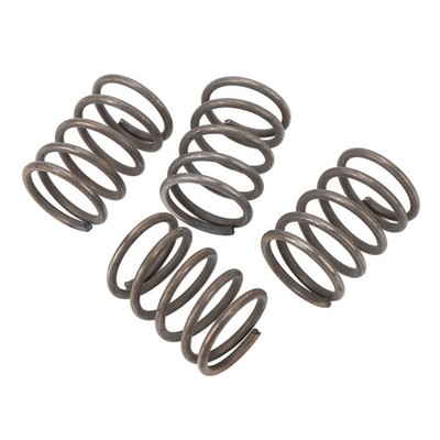 Speed Run Springs 4PCS Shock Springs Improved Driving Stability For Limitle QXFY