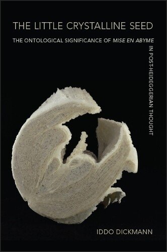 Thumbnail - Iddo Dickmann The Little Crystalline Seed (taschenbuch)
