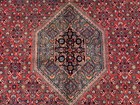 Amazing Hand Knotted Vintage Traditional Bijour Wool Area Rug 12 x 8 Ft — photo 10