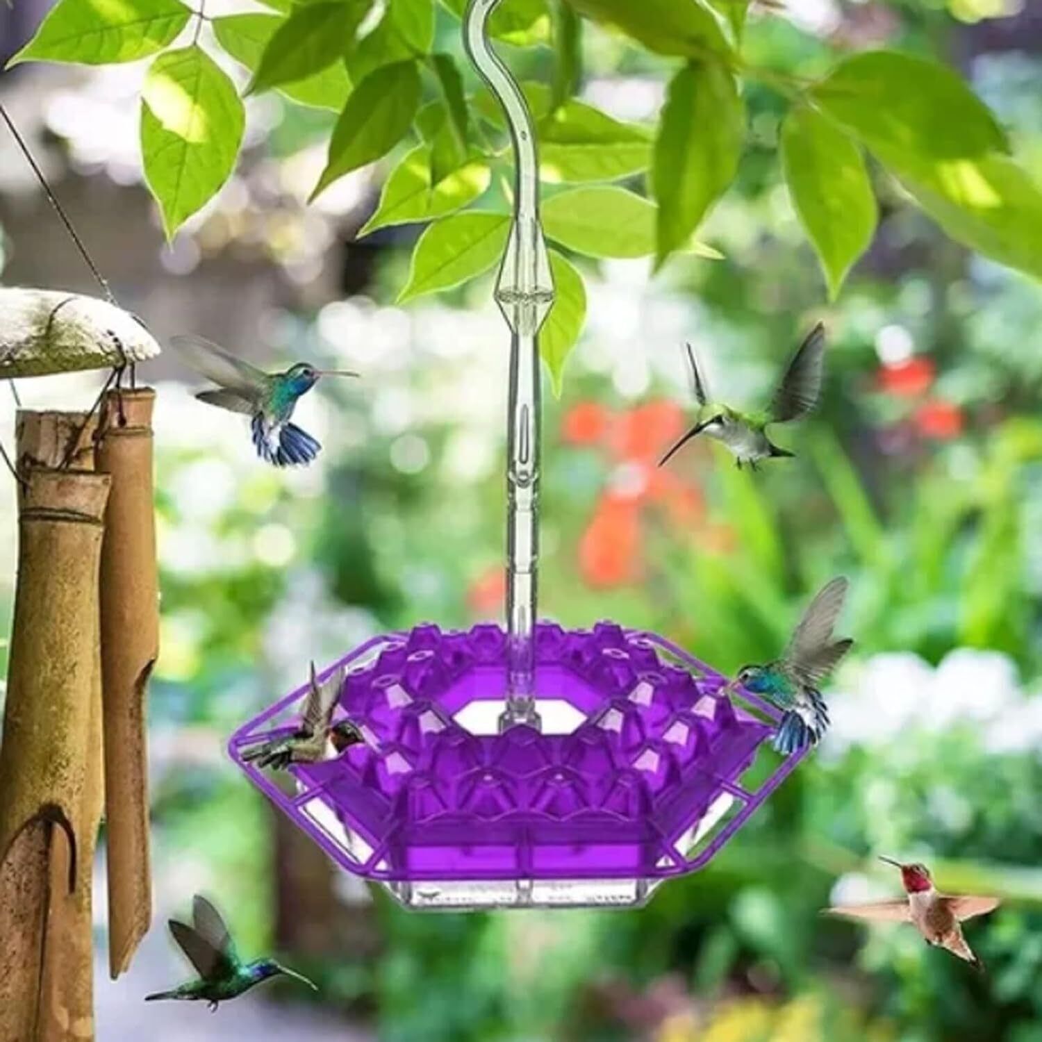 Shirem Hummingbird Feeder Shirem Sweety Hummingbird Feeder Hummingbird Feeder