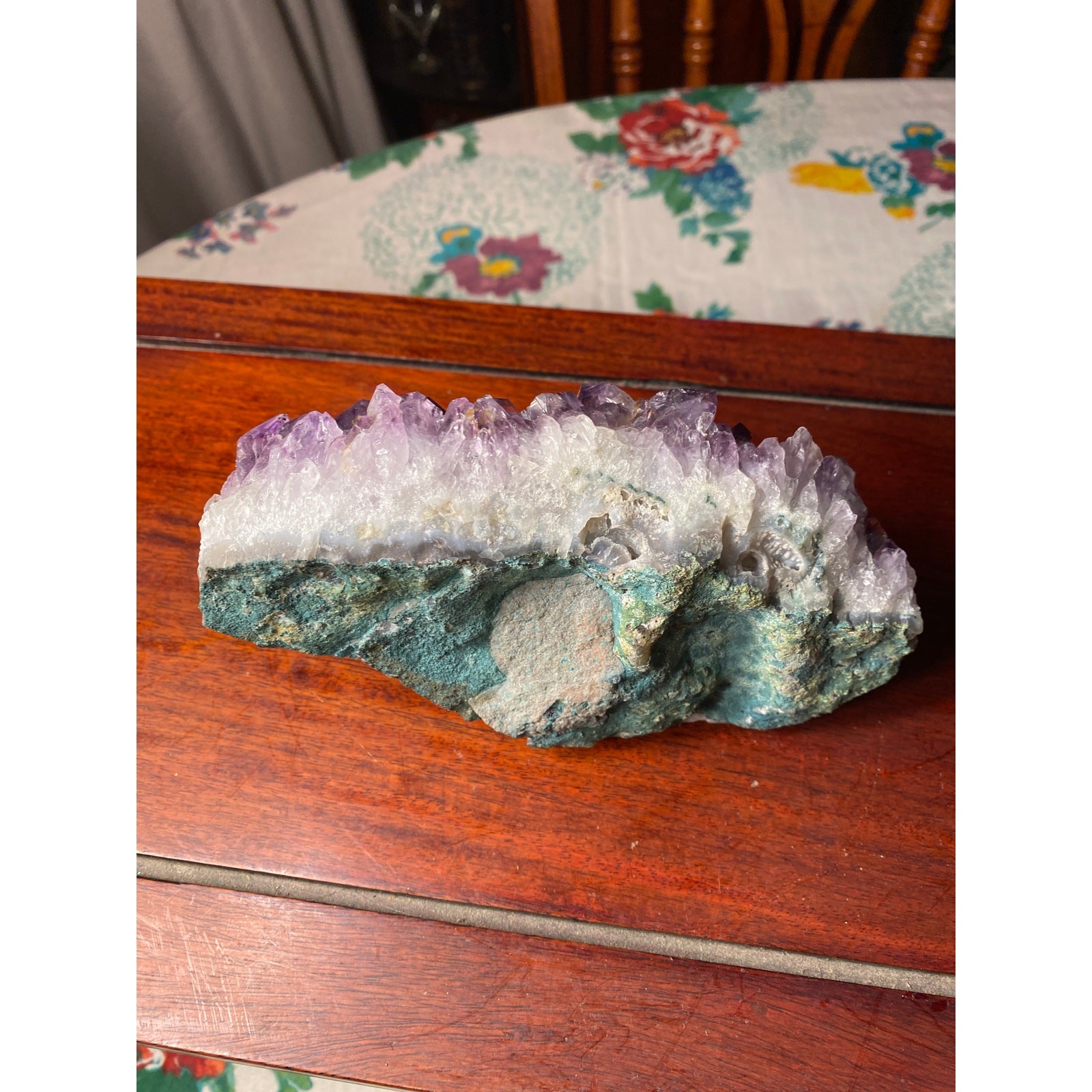 Picture 5 of 19