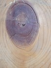 Picture 16 of 22