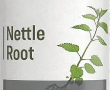 STINGING NETTLE ROOT - Healthy Kidney & Urinary Tract Support Extract Tincture