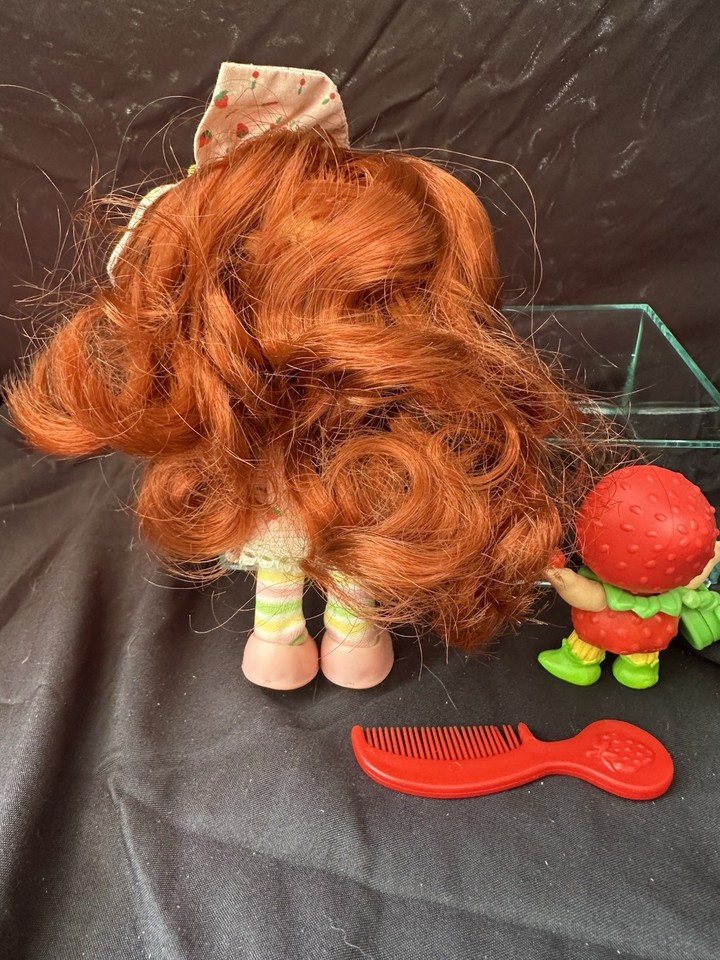 Strawberry Shortcake Doll Brazilian Tarte a La Cerise Berrykin #39