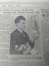 DEC 13, 1930 NEWSPAPER PAGE #1997- DR CALVIN B. BRIDGES, GENETIC BALANCE THEORY 