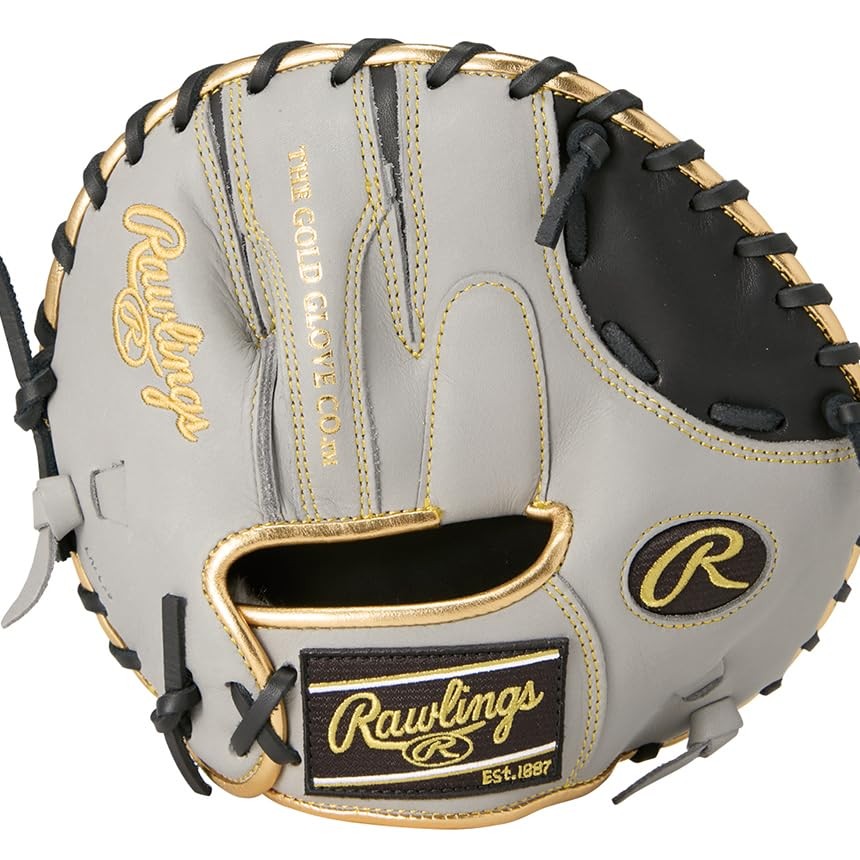 Rawlings Baseball Glove Hard Adult Gamer Training GH5GT2 Black