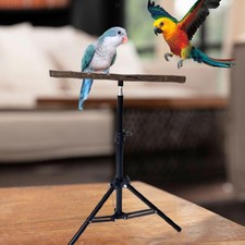 Wooden Parrot Perch Pet Accessories Interactive Toy Multipurpose Bird Stand for