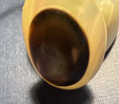 Shell Handmade Mother Of Pearl W/ Amber Stone Vintage Ring Size 6 - Picture 5 of 5