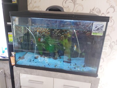 aquarium fish tank