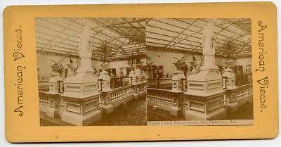  Palace Hotel San Francisco California Stereoview Photo D. J Maxson Cambridge NY