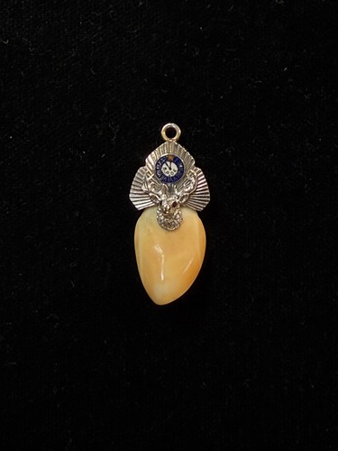 Elks Lodge 14k Two-Tone Elk Tooth Elk Pendant with Red Gem Eyes - No Bail, AS IS
