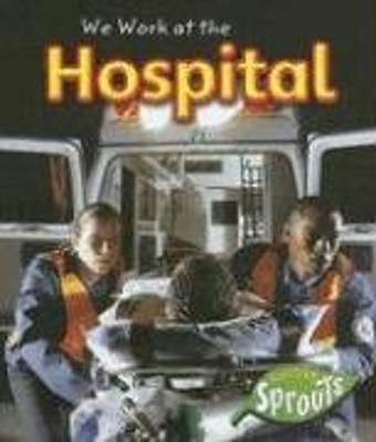We Work at the Hospital Hardcover Angela Aylmore