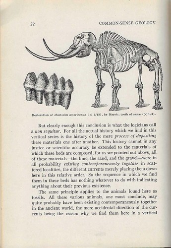 Common-Sense Geology George McCready Price Creationism SDA Flood Geology - Picture 7 of 7