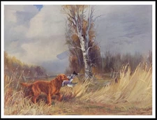 GOLDEN RETRIEVER DOG AT WORK LOVELY VINTAGE STYLE DOG ART PRINT POSTER