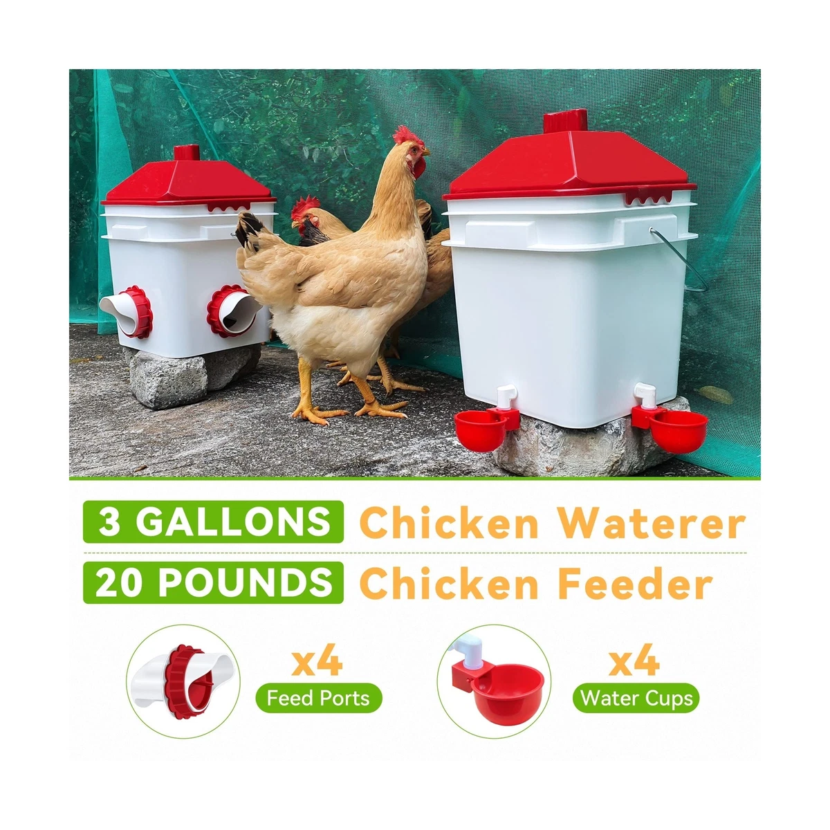 Chook feeders ebay cheap