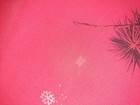 Bild 13 von 13